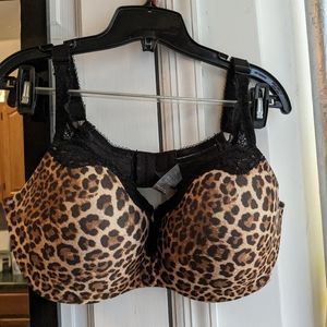 Le Mystere Dream Tisha Leopard Print Bra 40DD